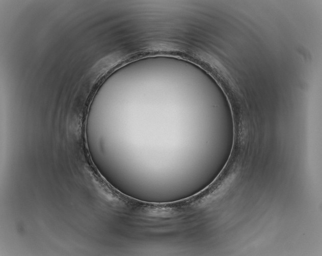 X0000111430833200907131221
