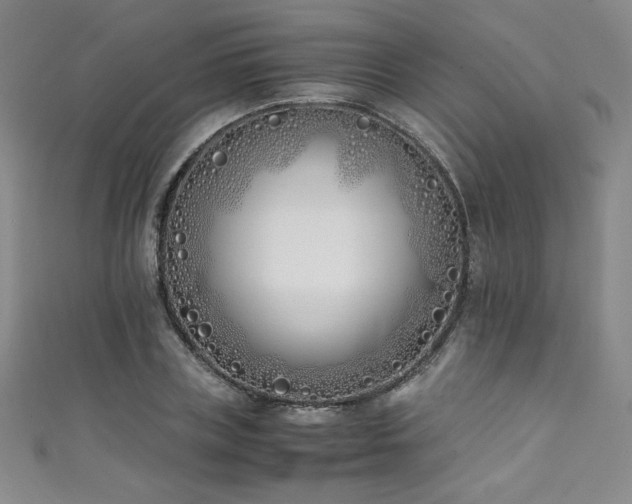 X0000111430835200907131221