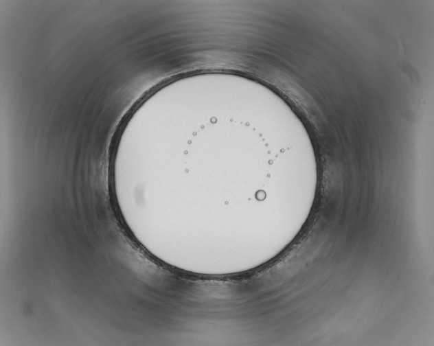 X0000111430836200907131221