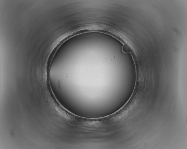 X0000111430837200907131221