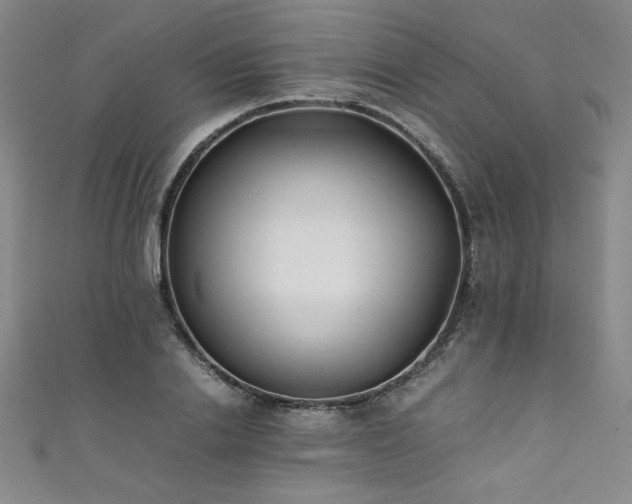 X0000111430838200907131221
