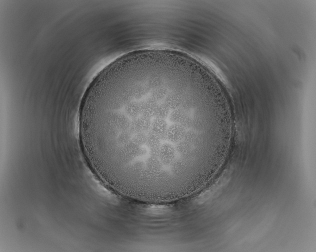 X0000111430839200907131221