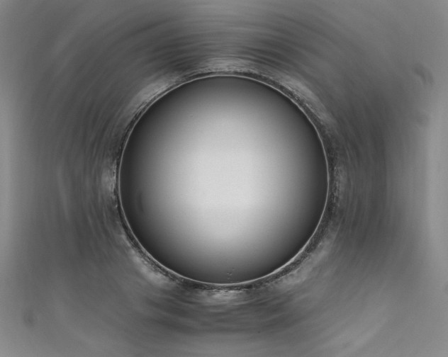 X0000111430841200907131221