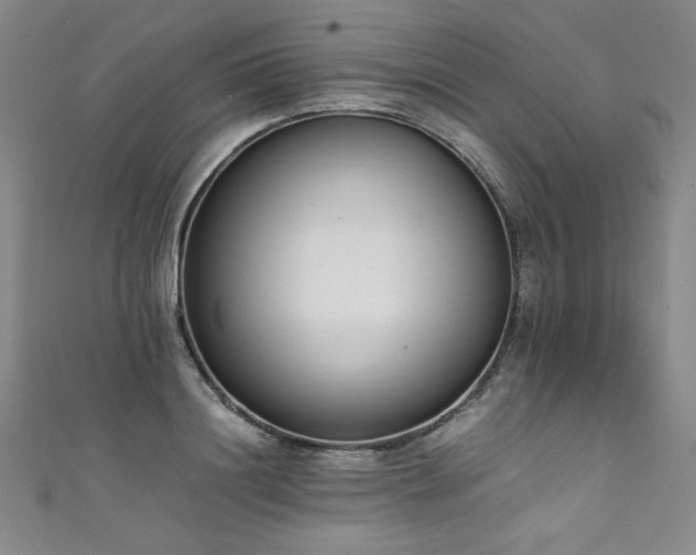 X0000111430844200907131221