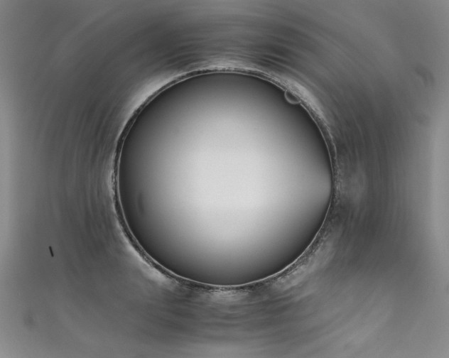 X0000111430847200907131221