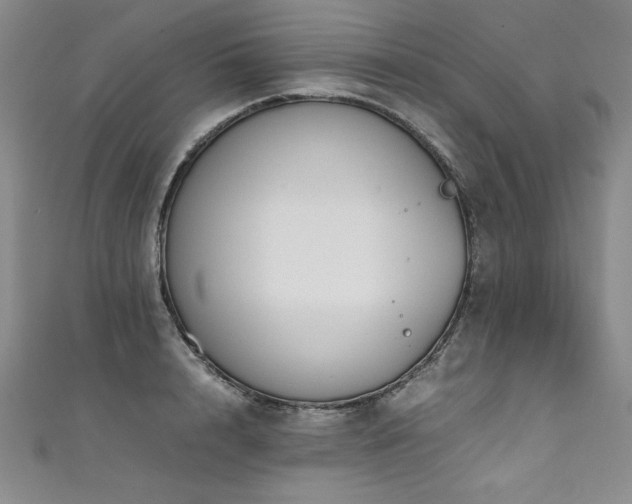 X0000111430848200907131221
