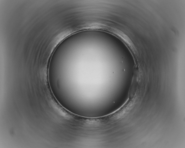 X0000111430850200907131221