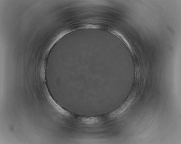 X0000111430851200907131221