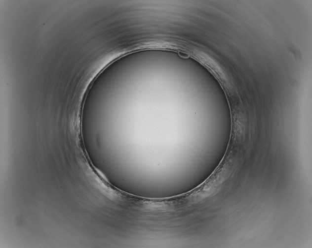 X0000111430852200907131221