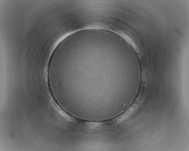 X0000111430854200907131221