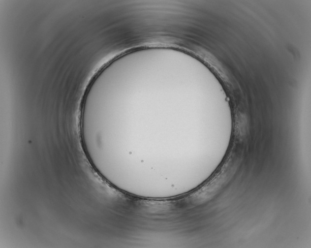 X0000111430856200907131221