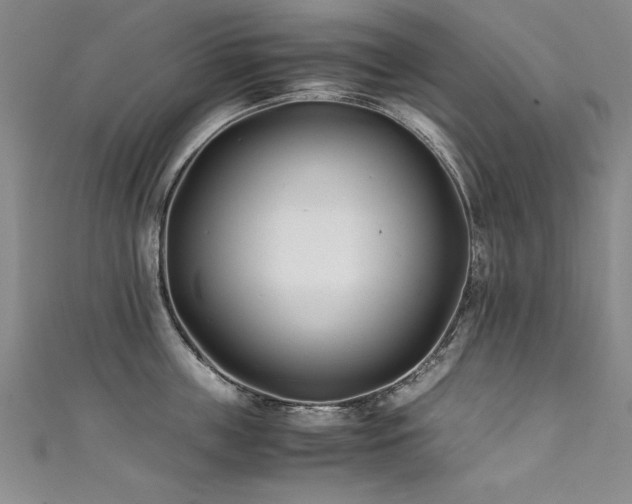 X0000111430859200907131222
