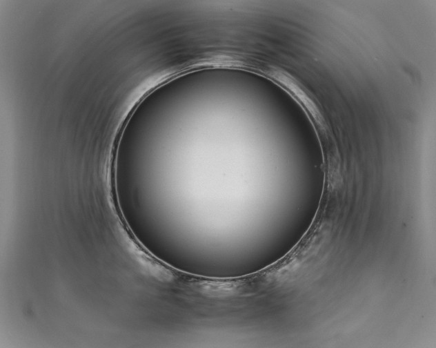 X0000111430861200907131222