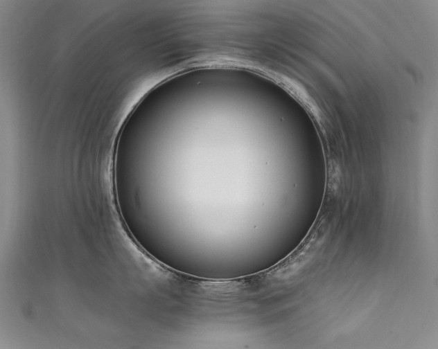 X0000111430863200907131222