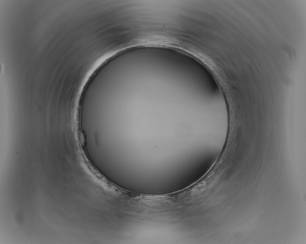 X0000111430864200907131222