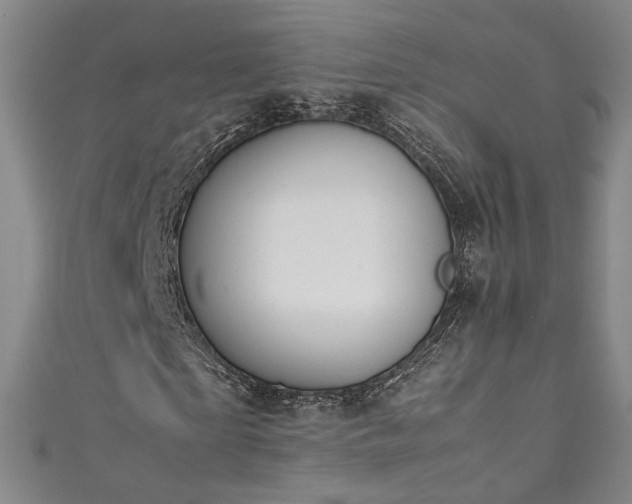 X0000111430865200907131221