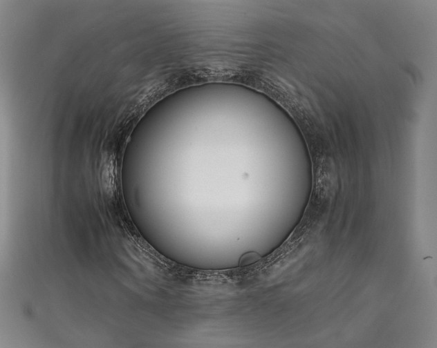 X0000111430866200907131221