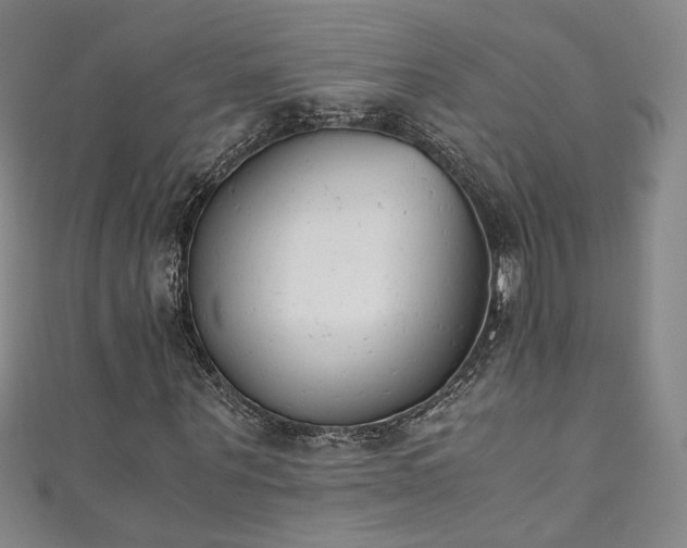 X0000111430867200907131221