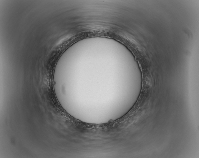 X0000111430869200907131221