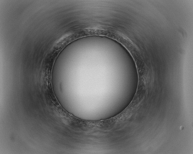 X0000111430870200907131221