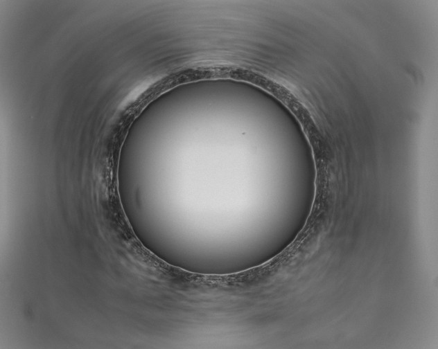 X0000111430871200907131221