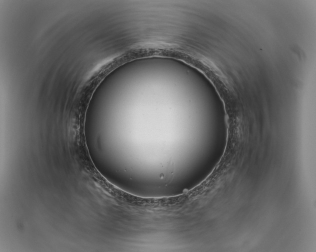 X0000111430872200907131221