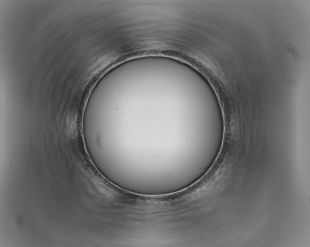X0000111430873200907131221