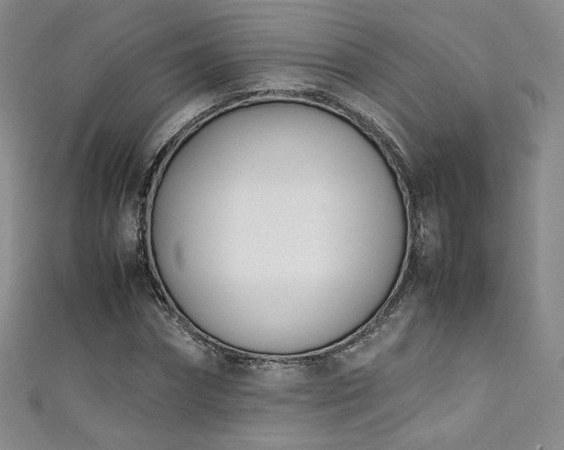 X0000111430874200907131221