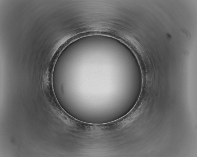 X0000111430875200907131221