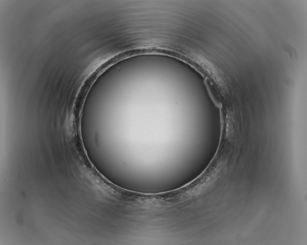 X0000111430876200907131221