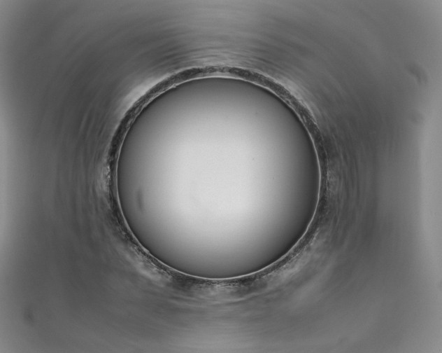 X0000111430879200907131221