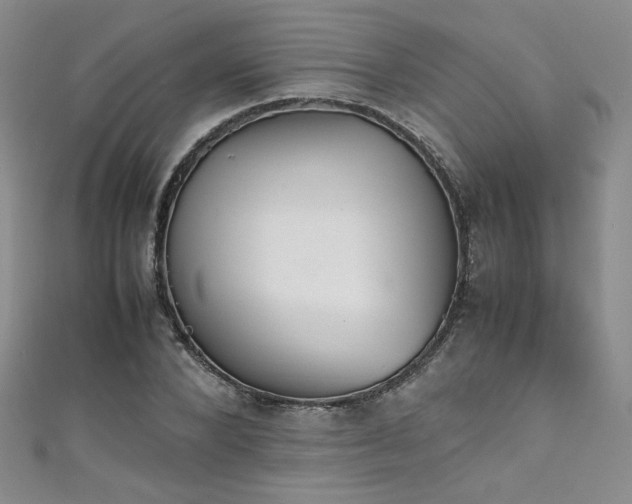 X0000111430880200907131221