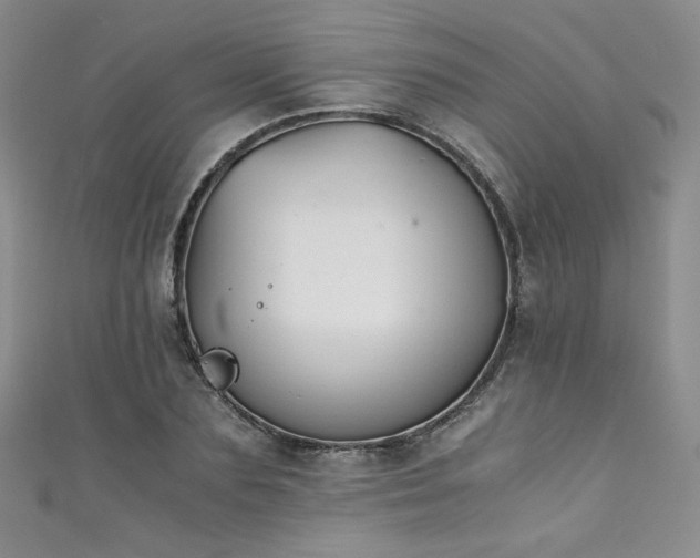 X0000111430883200907131221