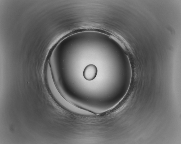 X0000111430885200907131221