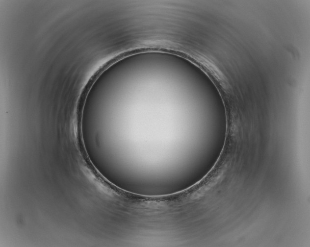 X0000111430888200907131221