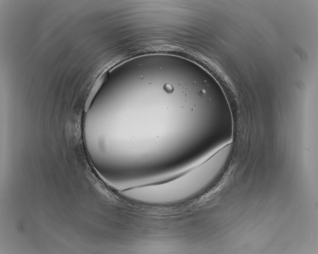 X0000111430889200907131220