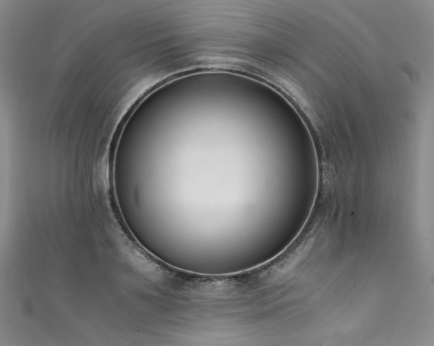 X0000111430891200907131220