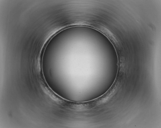 X0000111430892200907131220