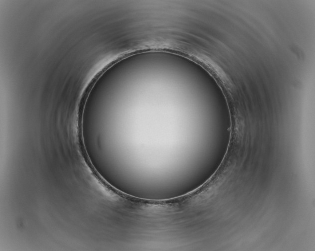 X0000111430894200907131220