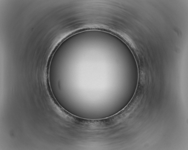 X0000111430895200907131220