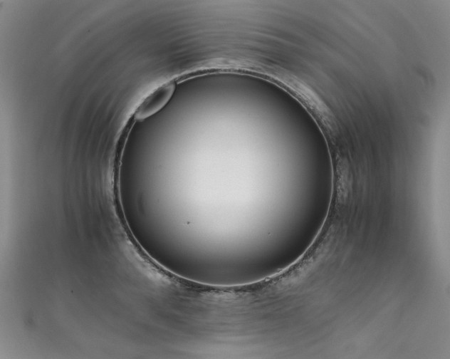 X0000111430896200907131220