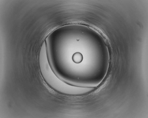 X0000111430897200907131220