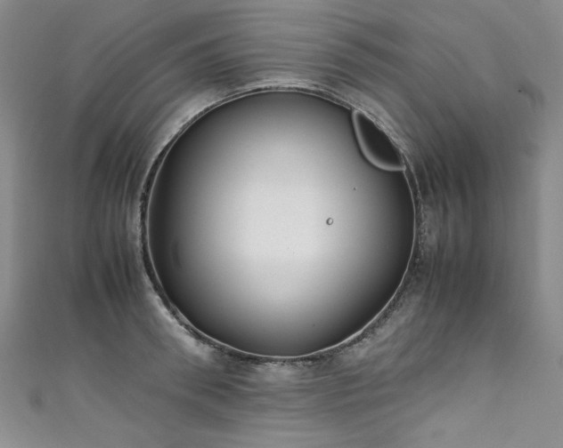 X0000111430898200907131220