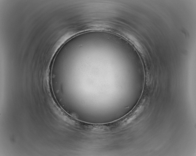 X0000111430899200907131220