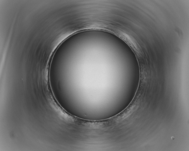 X0000111430900200907131220