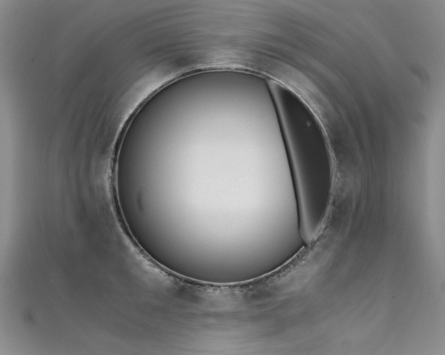 X0000111430901200907131220