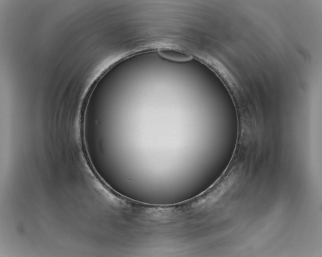 X0000111430902200907131220