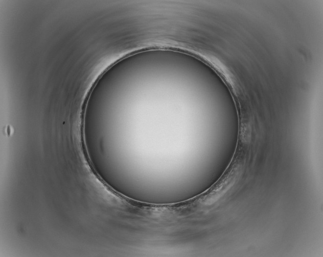 X0000111430903200907131220