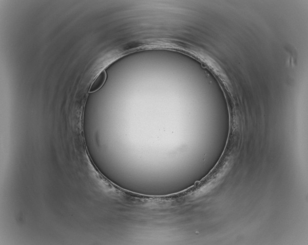 X0000111430905200907131220