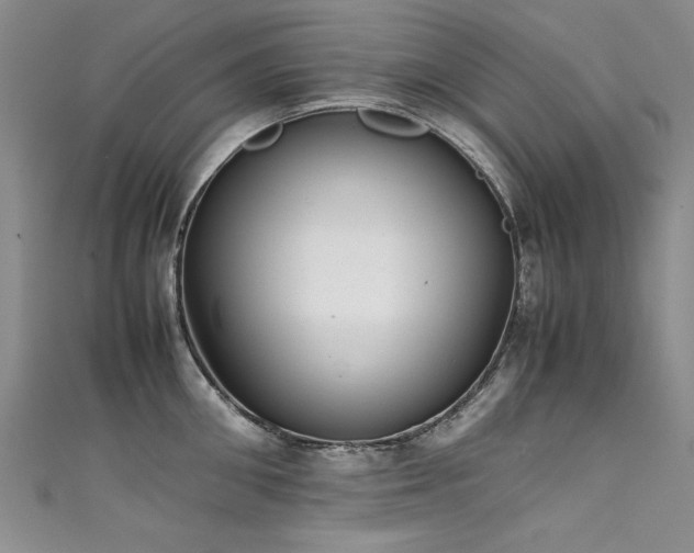 X0000111430906200907131220